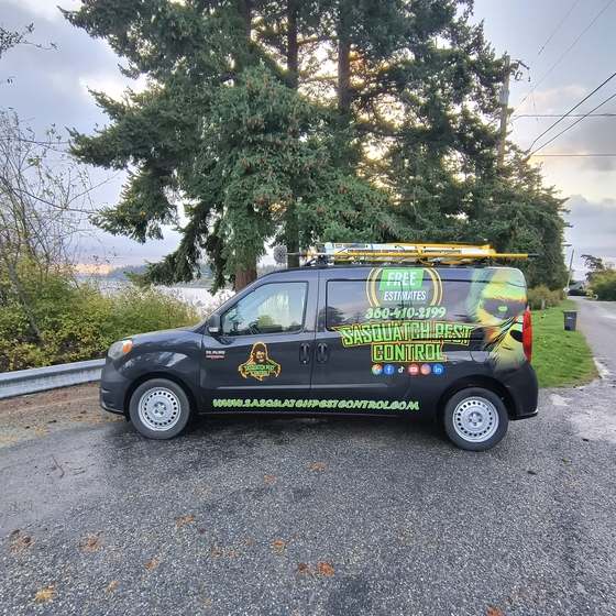 A wrapped compact van parked on a gravel pull-off beside a guardrail, with water and tall evergreens behind it