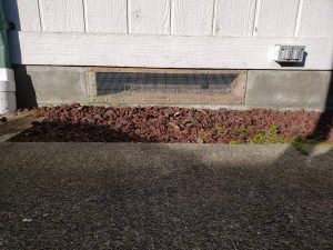 Replacement Vent screen for rodent exclusion service in Fairhaven Washington
