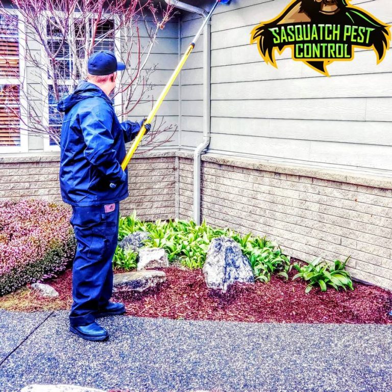 A Sasquatch Pest Control technician spraying treatment along a home's foundation perimeter and flower bed in Whatcom County.