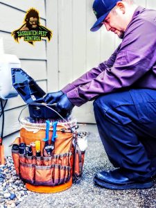 Kris of Sasquatch Pest Control refilling bait stations in Bow Washington