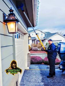 Kristofer Elling of Sasquatch pest control dewebbing a house