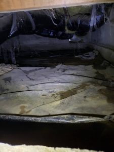 Water found in Crawlspace condusive condition for pest found during inspection by Sasquatch pest control In Lynden Washington