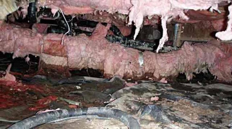 Rotted, water-damaged subfloor framing and insulation exposed beneath a home in Whatcom County.