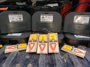 Rodent bait stations on display before being deployed for preventative rodent control services