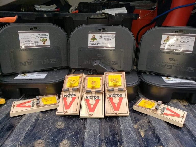 Black rodent bait stations and wooden snap traps used by Sasquatch Pest Control for rodent control.