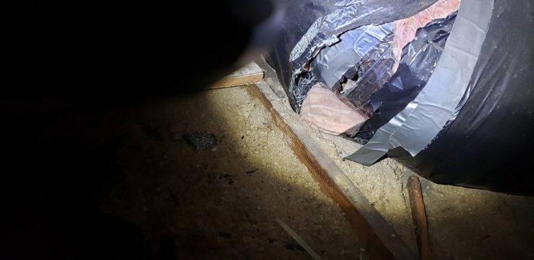 A Sasquatch Pest Control technician inspecting a dark crawlspace by flashlight in Whatcom County.