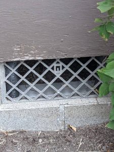 Missing vent screen allowing rodent access in Lynden Washington