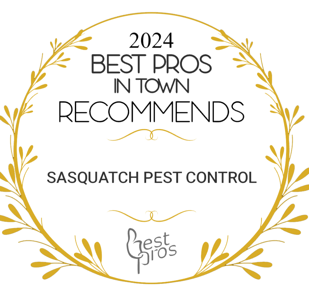 Best Pros In Town Recommends Sasquatch