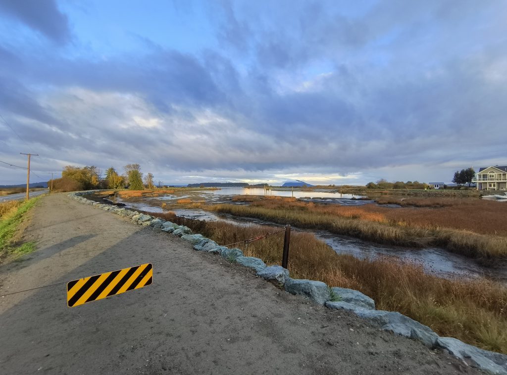 A marsh landscape along a rural road in Skagit County.