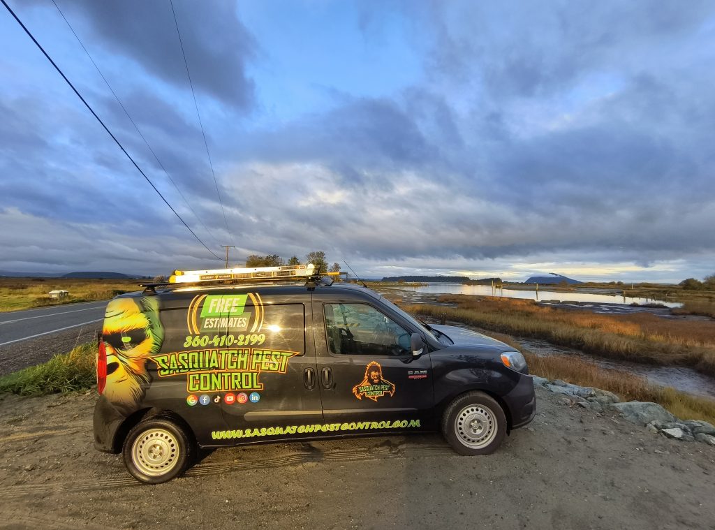 A wrapped Sasquatch Pest Control van parked beside a Skagit Valley marsh.