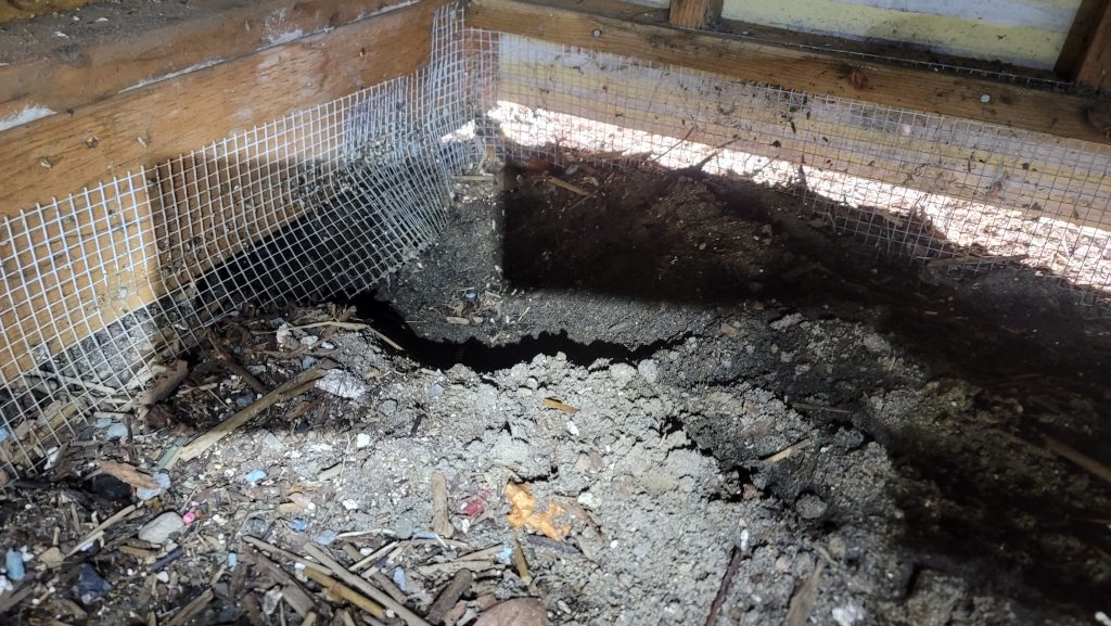 A mesh screen installed over a crawlspace vent to seal rodents out, part of Sasquatch Pest Control&rsquo;s exclusion work in the Bellingham area.