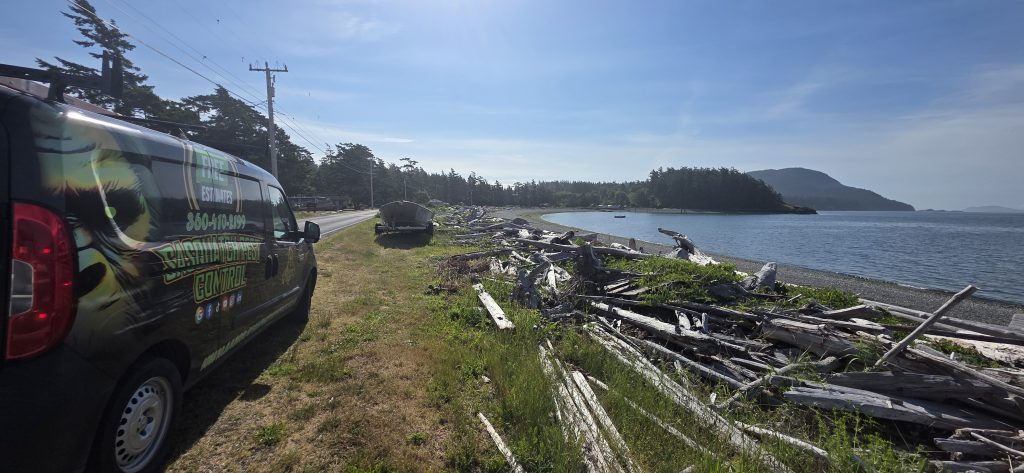 A wrapped Sasquatch Pest Control service van parked along a shoreline road in Whatcom County.