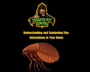 Blog header graphic: Understanding and Combating Flea Infestations in Your Home