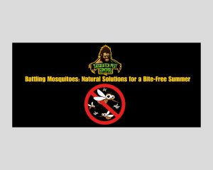 Blog header graphic: Battling Mosquitoes, Natural Solutions for a Bite-Free Summer