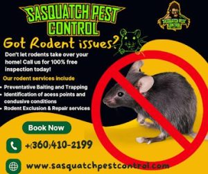 Sasquatch Pest Control rodent services ad with a free inspection offer