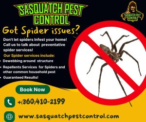 Sasquatch Pest Control spider services ad listing dewebbing and repellent services